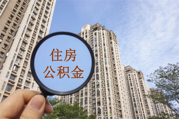 公积金怎么一次性全部提取-永新公积金代办平台
